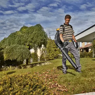 Dmuchawa do liści: urządzenie, z którym szybko wysprzątasz ogród